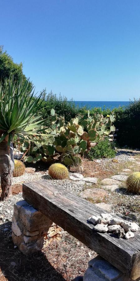 Villa Dimora Zara Cozze Esterno foto